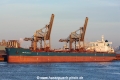 Maran Courage (MM-010619-2).jpg