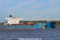 Marine Bright (KB-D201022-02).jpg
