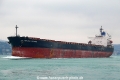 Newlead Victoria (OK-270114-1).jpg