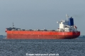Giorgis (KK-220715-3).jpg