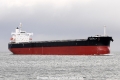 Mangarella JG-111214-01.jpg