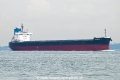 Marsanne OS-261022-01.jpg