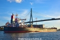 Cape Harmony (KB-D131120-03).jpg