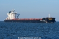 Golden Grace JG-241024-2.jpg