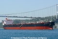 Shinyo Brilliance (OK-280607-0).jpg