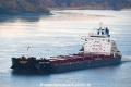 Golden Freeze 020722-1.jpg