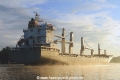 Chipolbrok Star JB-070822-03.jpg