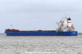 Alpha Vision (KK-180317-3).jpg
