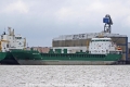 Medarctic (JS-230613-01).jpg