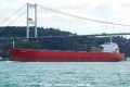 Lady Marite (OK-030214-2).jpg