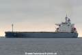 Q Shea (KK-260516-0).jpg