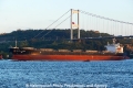 Genco Vigour (OK-081013-1).jpg