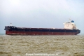 Xin Hua (KK-281016-2).jpg