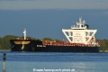 Golden John 290424-13.jpg