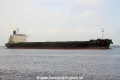 Harvest Time KH-250915-2.jpg