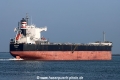 Buffalo TL-270325-2.jpg