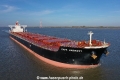 Cape Harmony KH-131120-4.jpg