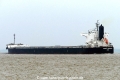 Bright Pegasus (KK-180817-2).jpg