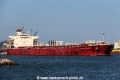 Alpha Loyalty RV-220416-01.jpg