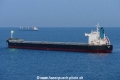 Sammy (KK-230217-1).jpg