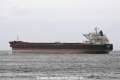 Ju Hua Hai (JS-290814-13).jpg