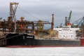 King Barley RV-290412-01.jpg