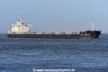 Cemtex Dominance JG-010224-2.jpg