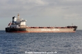 Shandong Hai Wang JG-241114-03.jpg