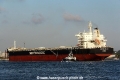 Yangtze Xing Jin RV-220416-05.jpg