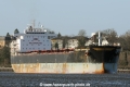 Golden Endurer OS-110315-02.jpg