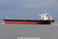 Cemtex Dominance JG-280424-4.jpg