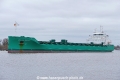Arklow Willow (OK-160320-0).jpg