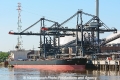 Ghent Max (KB-D070613-01).jpg