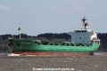 Arklow Willow TL-230714-2.jpg