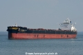 Golden Arcus JG-100820-02.jpg
