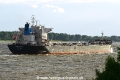 Egret Oasis 050716-13.jpg