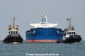 Bulk Japan SH-010815-02.jpg