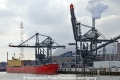 Navios Asteriks (KB-D210313-02).jpg