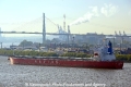 Navios Aldebaran 121012-02.jpg