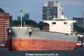 Trustn Trader 1 TL-100719-1.jpg