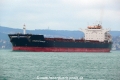 Umberto D∩Amato (OK-310114-0).jpg