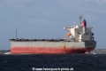 Amapola (JS-300810-08).jpg