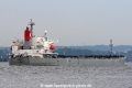 Mitose (SW-020809-10).jpg