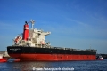 Crimson Monarch (KB-D220315-03).jpg