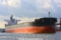 Anglo Cynosure (KB-D241020-08).jpg