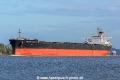 Amazing Salute (MM-031017-2).jpg