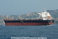 Nestor (OK-300913-3).jpg