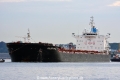 Golden Bull (KB-D290814-01).jpg