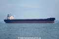 Xin Tai Hai OS-241016-04.jpg