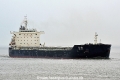 Peace Pearl HK-240616-1.jpg